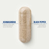 Ashwagandha Root Extract