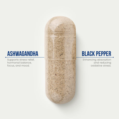 Ashwagandha Root Extract